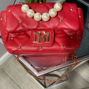 Badgley Mischka bag.